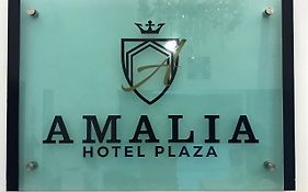 Hotel Plaza Amalia